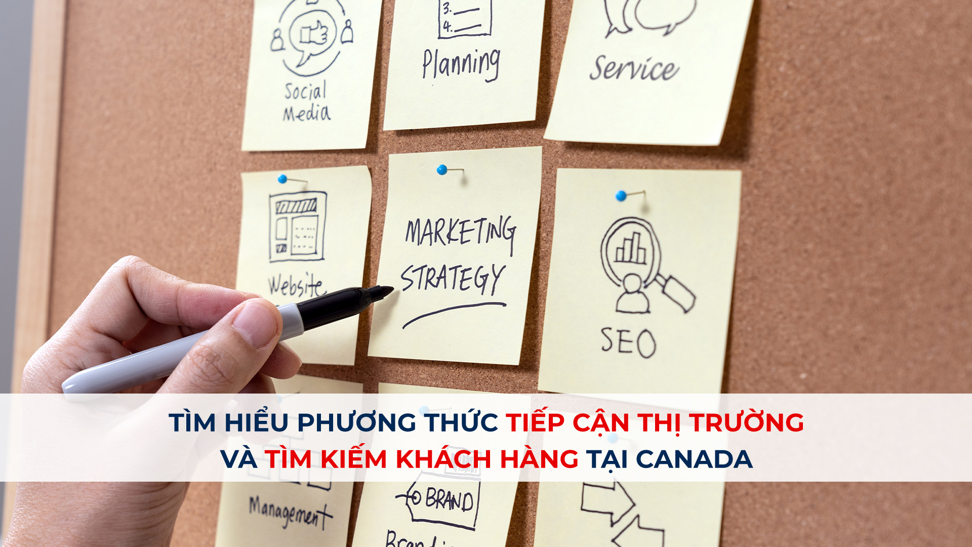 Tìm hiểu phương thức tiếp cận thị trường và tìm kiếm khách hàng tại Canada